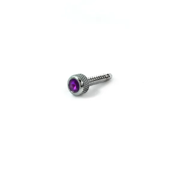 Freightliner Chrome Dash Screw Purple Jewel Accent